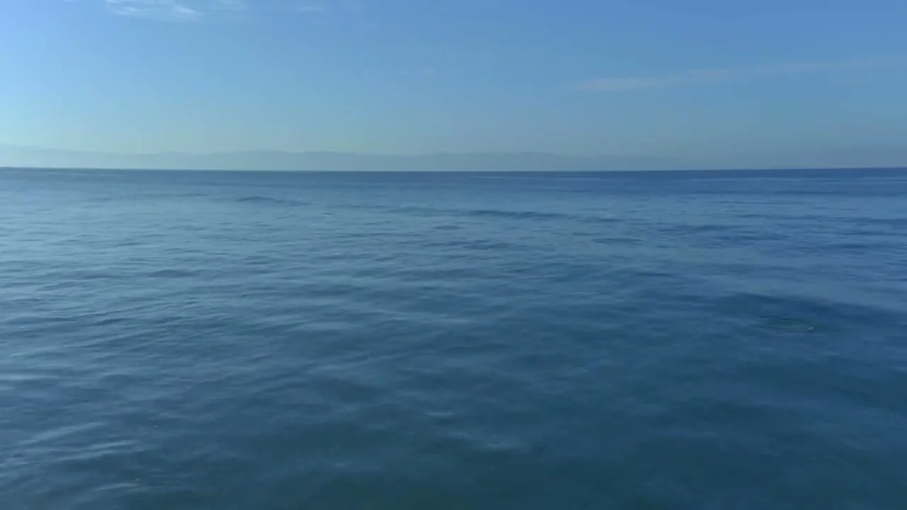 Zespół Studio Balans